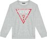 Guess Junior Sweatshirt Grijs Katoen Ronde Hals Lange Mouw Logo Regular Fit