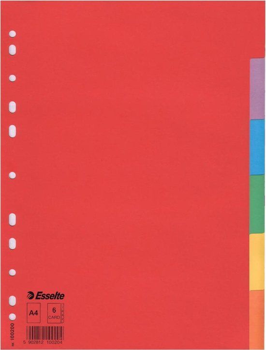 Esselte tabblad Eco karton A4 6 gekleurde tabs 11-gaats