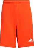 Adidas Squadra 21 Short Kinderen - Oranje / Wit | Maat: 152