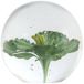 Light & Living Glas Flower Ornament 8x8cm Green