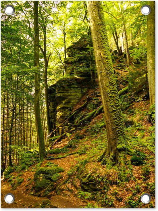 GreatGardenPosters Tuin decoratie Bomen - Steen - Bos - Natuur - Planten - 30x40 cm - Tuindoek - Buitenposter