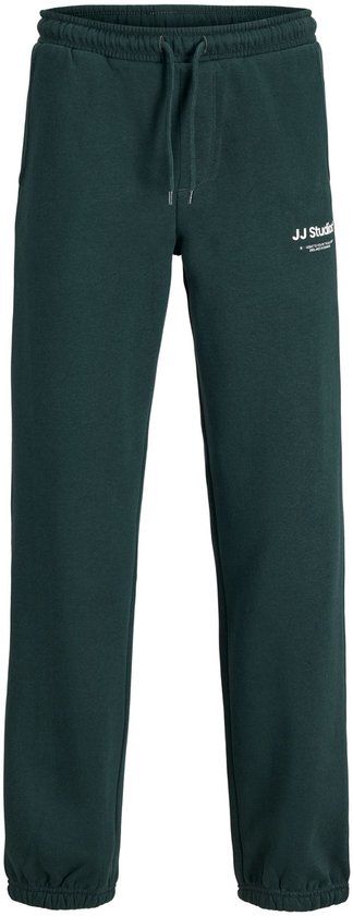 Jack & Jones Junior Relaxed fit broek Scarab