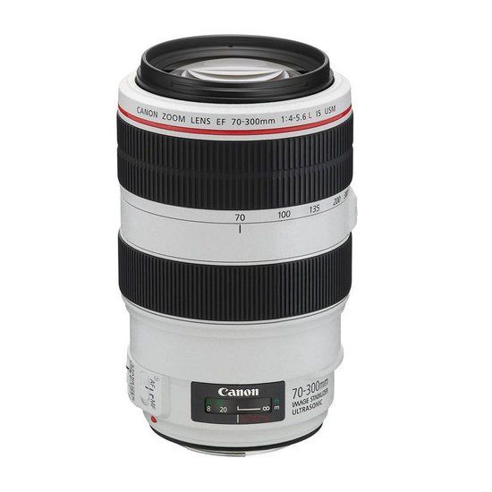 Canon EF 70-300mm f/4-5.6L IS USM