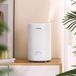 Sans marque Humidificateur 4 Litres avec Diffuseur d'Arômes et Taille de Brume Réglable