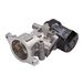 Delphi EG10411-12B1 EGR-ventiel
