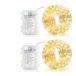 LEDYA Lichtsnoer voor buiten, batterij, 2 stuks, 10 m, 100 leds, zilverdraad, lichtketting met afstandsbediening, 8 modi, timer, IP44 waterdicht, warmwit
