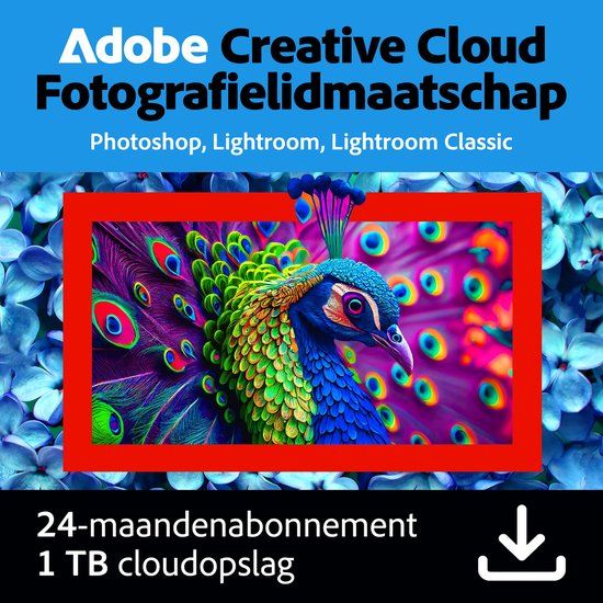 Adobe Subscriptions Adobe Creative Cloud Fotografie Plan - 1TB cloudopslag - 24 maanden/1 apparaat - Meertalig - PC/MAC Download