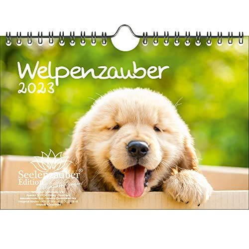 Seelenzauber Pupenzauber DIN A5 Wandkalender 2023 Honden Puppy's - Zielenzauber