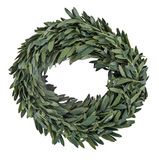 Rayher 55892000 Mini-Myrtenslinger, groen, 1,5 cm