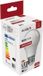 Avide E27 LED Lamp 8W - 806lm - 3000K - Warm Wit - LED Globe A60 - Vervangt 60W Gloeilamp