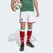ADIDAS PERFORMANCE Sportbroek 'Mexico 26 Home' groen / rood / wit