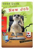 Piccadilly Greetings Group Ltd FANTASTISCHE KLEURRIJKE MEERKAT OP HET WERK GOED GELUK IN UW NIEUWE JOB WENKAART