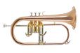 Roy Benson Bb Flügelhorn MOD.FH-302G Goldmessing Schall, inkl. Etui