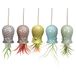 Mimeela 5-pack luchtplantenhouder Unieke, schattige octopus luchtplantenhanger muur plantenbak, keramische Tillandsia luchtplantenhouders hangende muurdecoratie voor thuiskantoor (klein (2 x 3,2 inch)