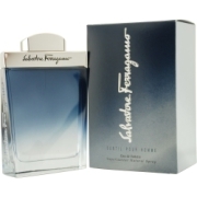 Salvatore Ferragamo Subtil Homme eau de toilette 50 ml eau de toilette / heren