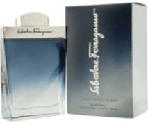 Salvatore Ferragamo Subtil Homme eau de toilette 50 ml eau de toilette / heren