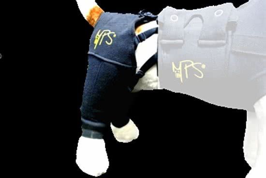 Medical Pet Shirt HLS hind leg sleeve XS