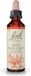 Fleurs de Bach Original Rode Kastanje 20 ml