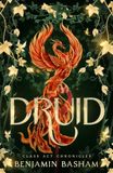 Druid