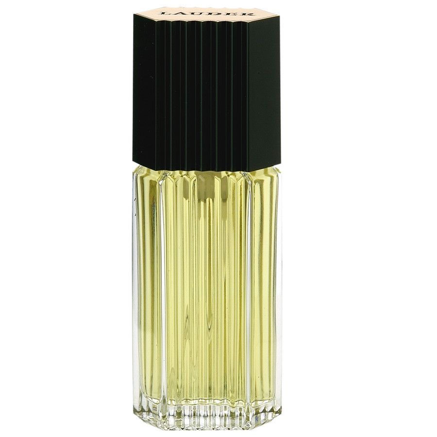 Estée Lauder Estee Lauder Eau de Cologne / 100 ml / Men