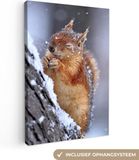 OneMillionCanvasses Canvas schilderij - Eekhoorn - Winter - Sneeuw - Boom - 80x120 cm