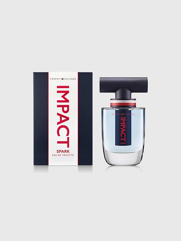 Tommy Hilfiger Eau de Toilette / 100 ml / Heren