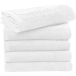 SG Accessories Serviette de toilette Ebro 50x100 cm
