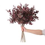 SHUOTAO 3 stuks kunstplanten zijde eucalyptus bladeren hoog 29 inch eucalyptus stengels takken bloemen arrangement decoratie, kunstmatige plant boerderij indoor huis bruiloft decor wijnrood