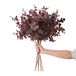 SHUOTAO 3 stuks kunstplanten zijde eucalyptus bladeren hoog 29 inch eucalyptus stengels takken bloemen arrangement decoratie, kunstmatige plant boerderij indoor huis bruiloft decor wijnrood