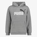 Puma ESS 2 Color No. 1 Logo sweat à capuche enfant gris - Taille 152/158