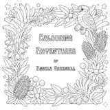 Colouring Adventures