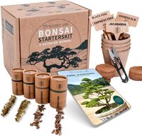 Holistic-Life Bonsai Starters Kit met Uitgebreide Instructies – Bonsai Zaden Kit – Binnen Boompje Kweken – Kamerplanten – Kweekset Kerstcadeau