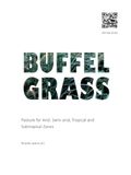 Buffel Grass Pasture