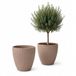 Bloempot Prosperplast Latia Round 48cm Terras Balkon Tuin Pot - Beige