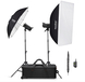 Godox SK300IIV-C Studio Flash Kit