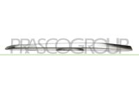 PRASCO Zier-/Schutzleiste, Kühlergitter BM0311223 rechts