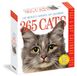 365 Workman Calendars 365 Cats Page-A-Day Calendar 2025