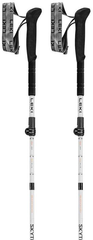 Leki Skytera Fx Carbon Sl Stokken Zilver 110-130 cm