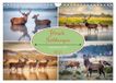 Hirsch Calvendo Hirsch Sichtungen (Wandkalender 2027 DIN A4 quer)
