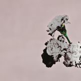 Sony Music John Legend Love in the Future (Special Édition)
