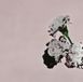 Sony Music John Legend Love in the Future (Special Édition)