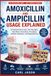 AMOXICILLIN AND AMPICILLIN USAGE EXPLAINED