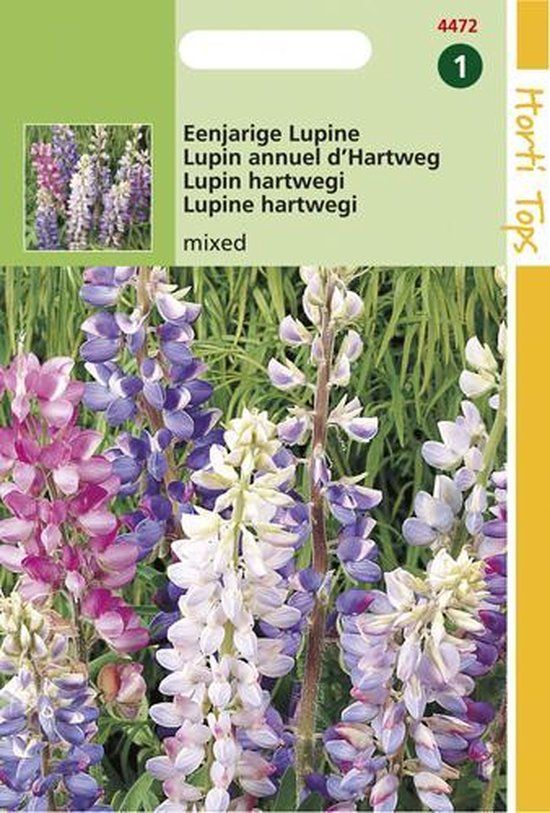 Hortitops Zaden - Lupinus Hartwegii Kleurenmengsel