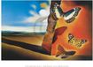 Your Decoration B.V. Kunstdruk Salvador Dali - Paysage aux Papillons 80x60cm
