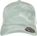 Flexfit 110 Batik Mesh Snapback Pet - Mintgroen