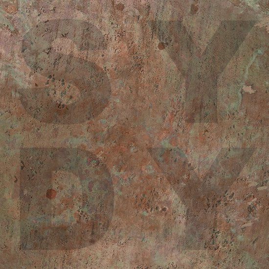Bronze Shiny Darkly Bronze (LP)