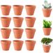 OEM Omgoods - Set van 12 Terracotta Potten met Afvoergaatje voor Planten