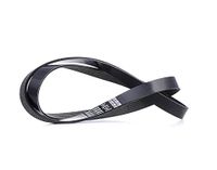 DAYCO 6PK1395S V-riem