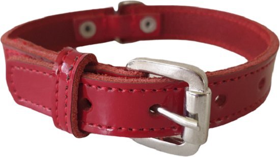 ALOKÉ Hondenhalsband / Halsband (01588LA) - Lak Leder - Rood - S - Nekomvang: 24,5 - 30 cm (GELIEVE ALVORENS BESTELLEN OPMETEN)