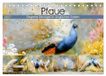 Pfaue. Calvendo Pfaue. Elegante Ziervögel im englischen Garten (Tischkalender 2027 DIN A5 quer)